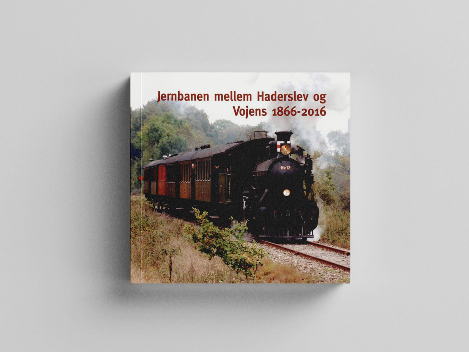 ”Jernbanen mellem Haderslev og Vojens 18662016” af Vereranbanen